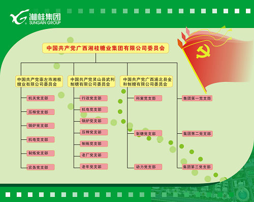 湘桂集团党委构架图